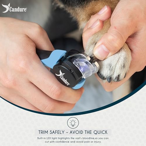 LED Dog Nail Clippers with Light (Sky Blue / Large to Medium pets)