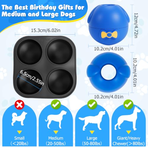 Interactive Dog Chew Toy (wobbly blue / Medium)