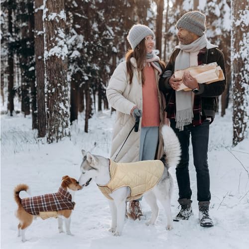 Waterproof Dog Coat (Brown / 3X-Large (Pack of 1))