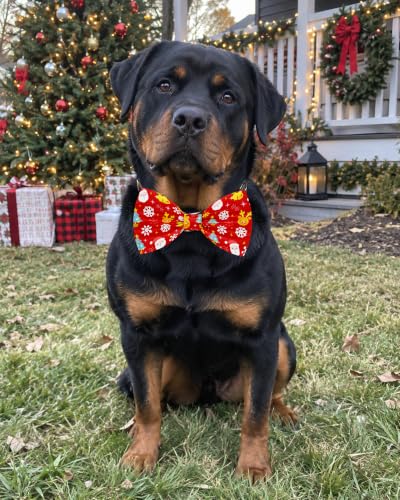 10 Pack Christmas Dog Bowties for Extra Large Dogs Sliding Collar (L/XL)