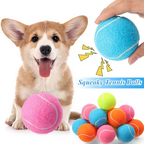 16 Pcs 2.5 Inch Squeaky Tennis Balls Bulk for Dogs Bouncy Floatable Tennis Balls Dog Playing Supplies Training Interactive Fetch Toys Indoor and Outdoor for Small Medium Puppy (Multicolor)
