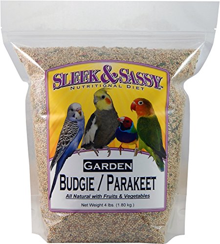 Garden Budgie