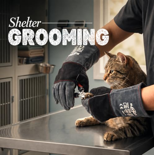 Animal Handling Gloves (2 Count (Pack of 1) / 16 Inches)