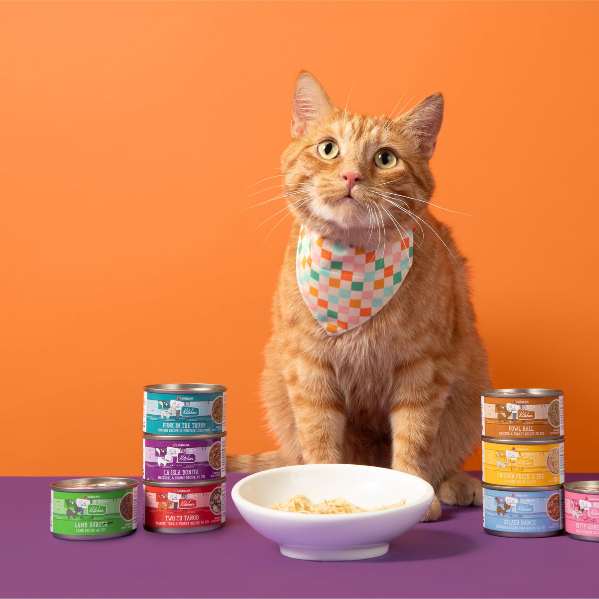 Cats in the Kitchen (6 Ounce (Pack of 24))