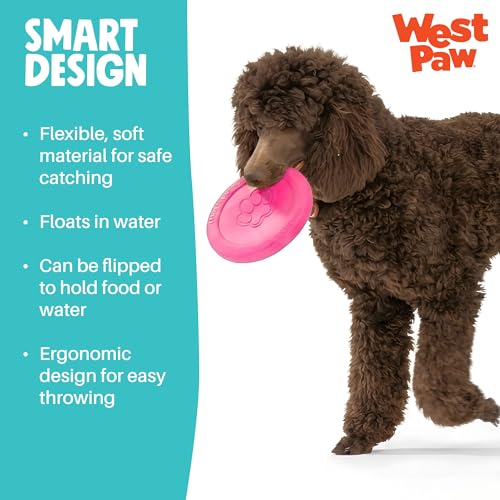 Zogoflex Zisc Dog Flying Disc (Large / Geranium)