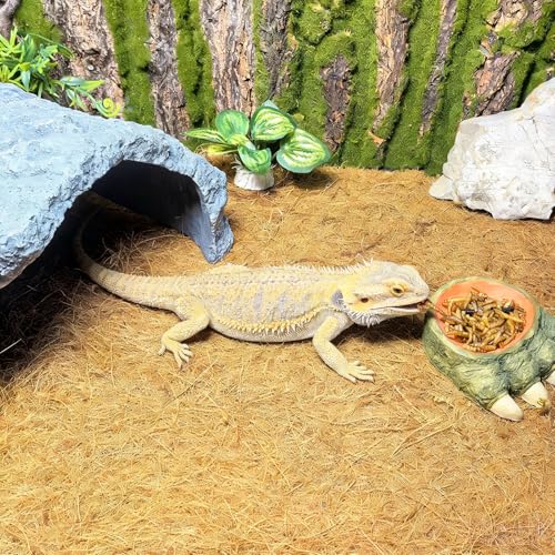 78.7x15.7in Reptile Carpet Coconut Fiber Substrate Large Snake Bedding Coco Liner Roll Mat for Bearded Dragon Tortoise Lizard Habitat Pad Garden Decoration (15.7x78.7inch)