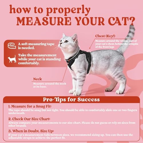 Cat Harness and Leash Set (Xs / Black)
