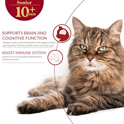 Churu Bisque for Cats Senior 10+ (1 Count (Pack of 12))