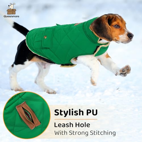 Warm Dog Coat Cold Weather Puffer Vest Quilting Winter Jacket (Small / Forest Green)