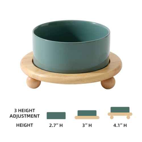 Raised Cat Bowl 6.1” Elevated Ceramic Cat Food and Water Bowl (Dark Green)