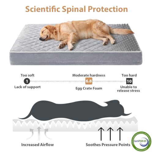 Orthopedic XXL Dog Beds for Large Senior Dog Bed Comfy Sleeping (Light Grey / 55"L x 42"W x 4"Th)