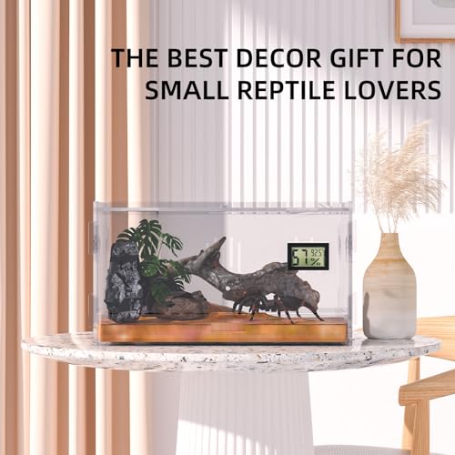 Reptile Terrariums with Temperature Hygrometer (Terrestrial--L (Tray))
