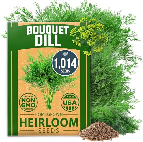 Bouquet Dill Seeds