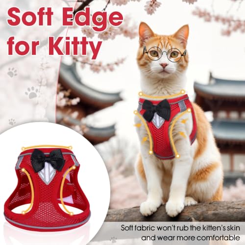 Cat Vest Harness and Leash Set (Red / XS)
