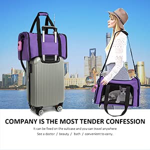 Cat Carrier Dog Carrier Pet Carrier Cat Bags for Small Medium Cats Dogs Puppies of 15 Lbs (20.0"L x 13.0"W x 13.0"H / Purple)