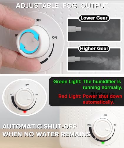 No Leak Reptile Fogger Humidifiers Mister for Reptile Tank (Dual Fog Output)