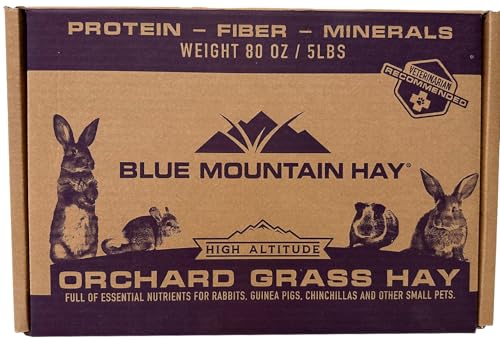 Orchard Grass Hay for Small Pets (15 Ounce (Pack of 1))