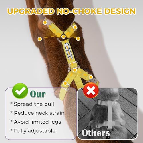 Cat Harness and Leash Set (Yellow)