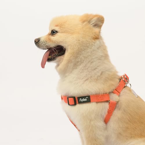 No Pull Dog Harness Small Sized Step (Orange / X-Small)