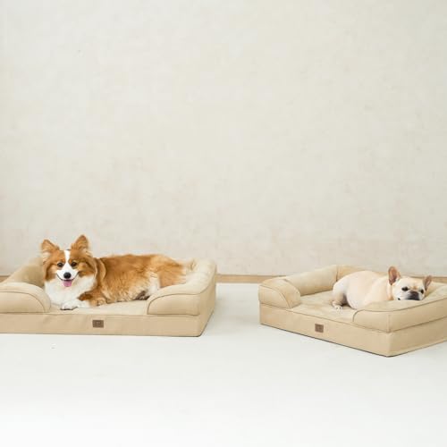 Orthopedic Dog Bed Medium Size Dog (Graige / 30.0"l X 20.0"w X 6.5"th)