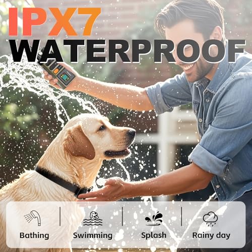 Dog Training Collar with Remote (1 collar with remote)