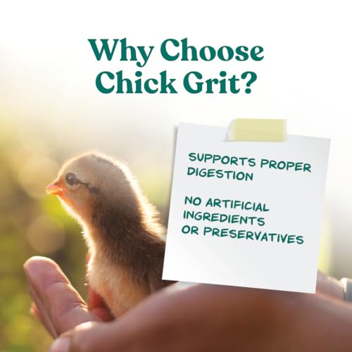 Chick Grit Digestive Supplement for Young Growing Poultry & Bantam Breeds (5 Pound (Pack of 1))