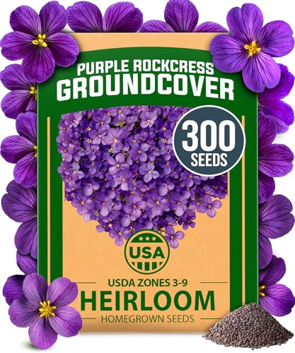 Aubrieta Rock Cress Purple Seeds