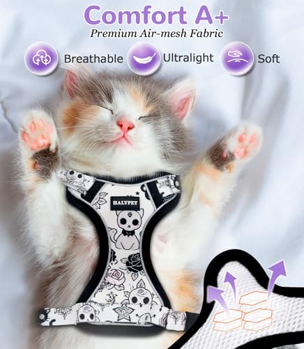 Cat Harness and Leash Set (H604 Pro Moonlight Meow / Medium (13-18lb))
