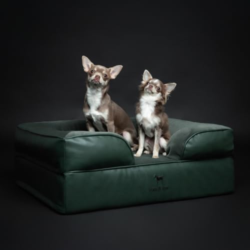 Dog Bed Orthopedic Memory Cooling Foam (Green - LE / Medium)