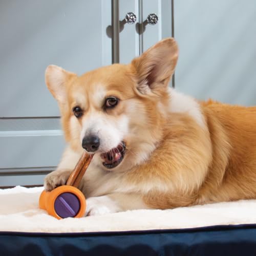 SafeFit™ Beef Collagen Sticks for Dogs (6" - Jumbo)