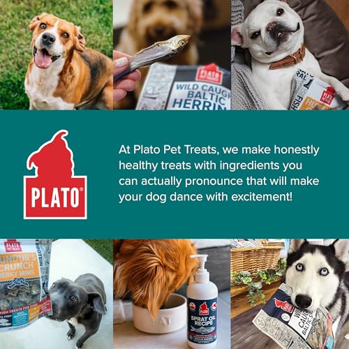 Pet Treats Fish Dog Treats Wild Caught Baltic Herring (8.5 Ounce (Pack of 2))