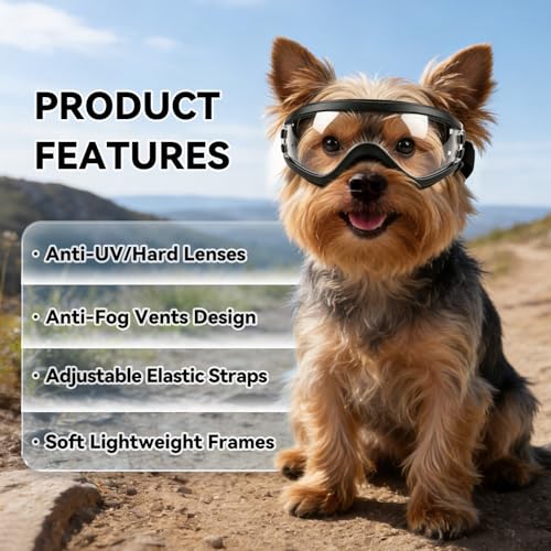 Dog Goggles Small Breed Windproof Anti (Small / Clear)