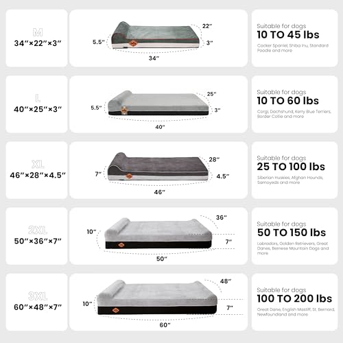 Orthopedic Dog Bed (50.0"L x 36.0"W x 10.0"Th / Chocolate)