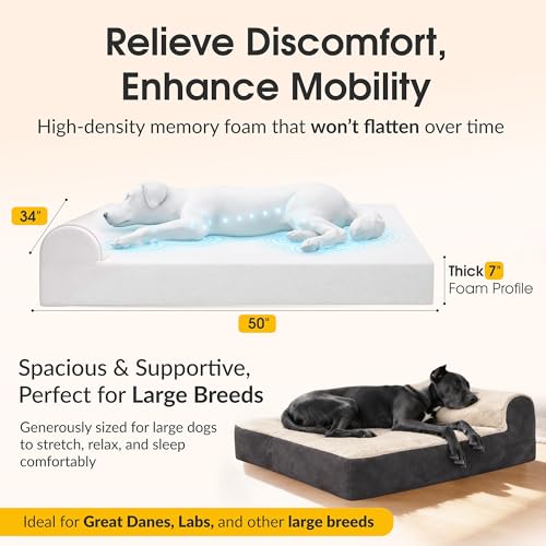 Jumbo Orthopedic Dog Bed (Brown-Plush Top / XL - 50"x34"x10")