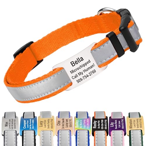 Reflective Dog Collar with Personalized Nameplate (Reflective / Medium (Pack of 1))