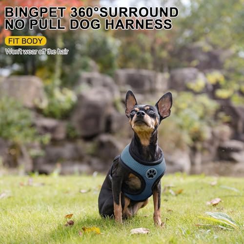 Small Dog Harness (XS (NECK: 10", CHEST: 10"-14") / Navy Blue)