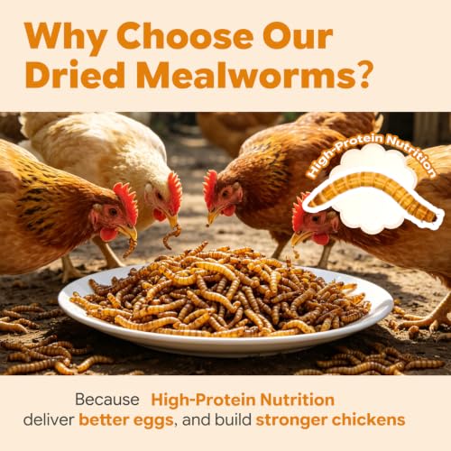22lb Dried Mealworms for Chickens Duck High Protein Birds Treat (22 Pound (Pack of 1))