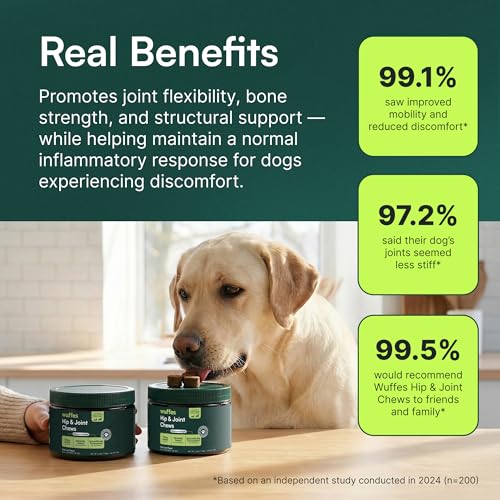 Advanced Hip & Joint Chews for Medium Breed Dogs (Pack of 1)