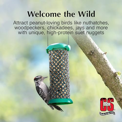 Peanut Suet Nuggets (8 Pound (Pack of 1))