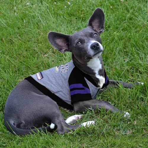 NFL BALTIMORE RAVENS HOODIE for DOGS & CATS (Large / Baltimore Ravens)