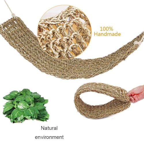 Bearded Dragon Hammock