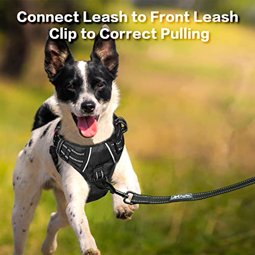 No Pull Dog Harness with 3 Leash Clips and Vertical Handle (Large / Black)