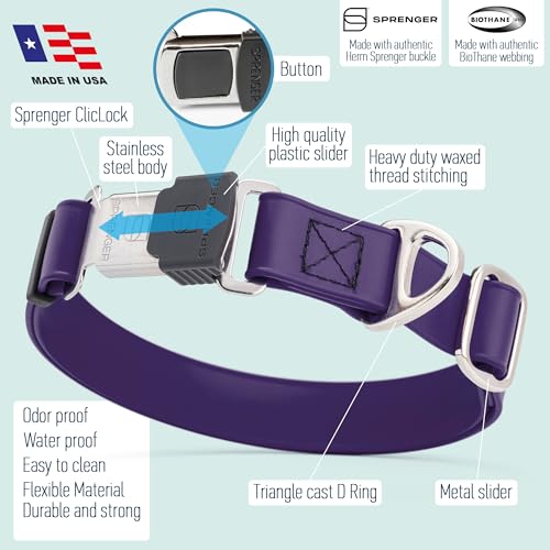 Biothane Waterproof Dog Collar with Herm Sprenger Stainless Steel Quick Release Buckle (W 1" x L 15"-25" / Violet Purple)