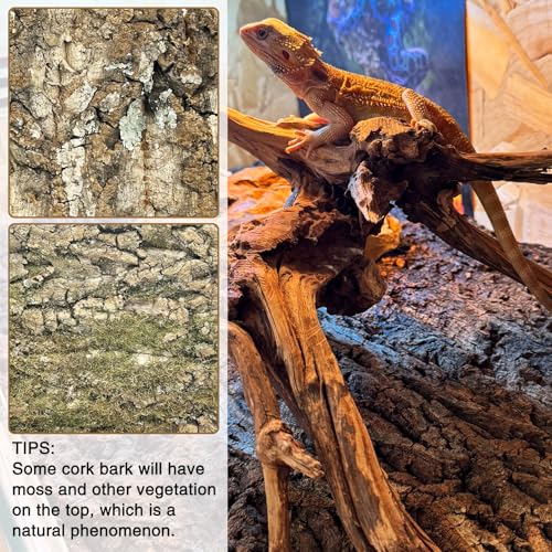 3 PCS Cork Bark Background