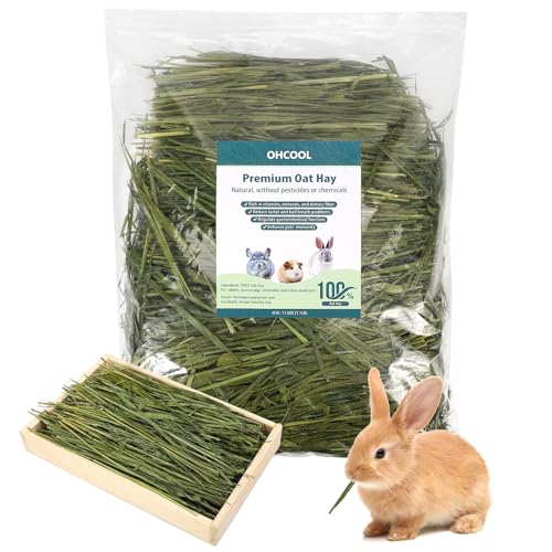 Premium Dust Free Oat Hay 6.6lbs (6.6 Pound (Pack of 1))