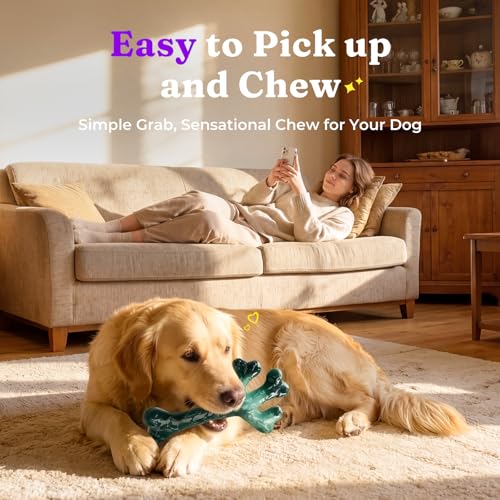 2 Pack Tough Dog Chew Toys for Aggressive Chewers (Green & Purple-2-Pack)