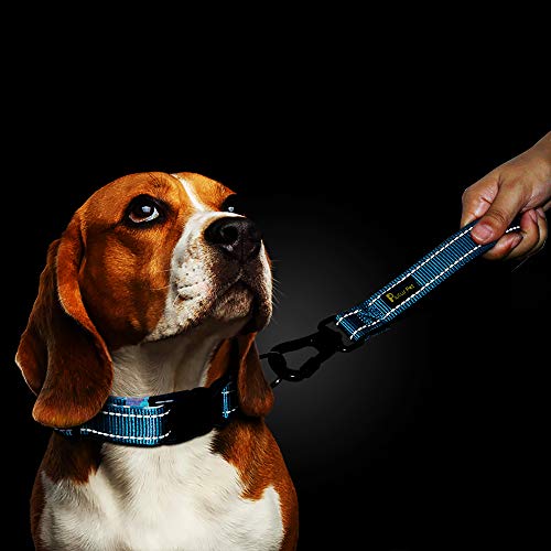 10” Short Dog Leash (Blue / 10 Inch (Pack of 1))