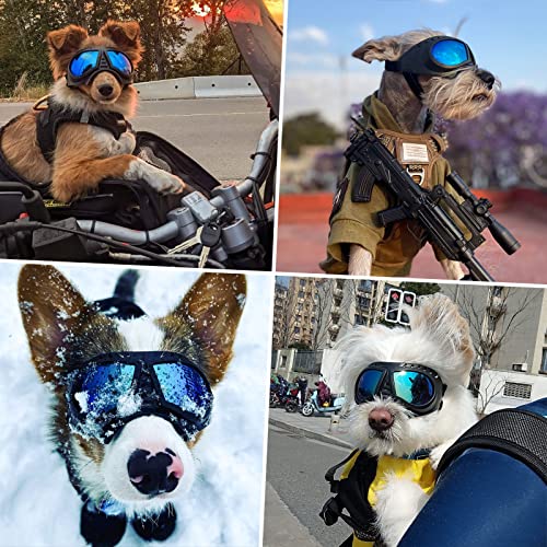 Small Dog Goggles Windproof for Small (Blue Lenses / Medium)