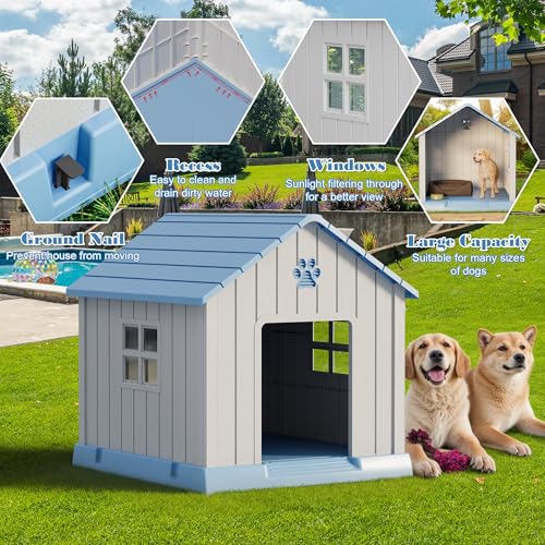 Dog House Outdoor Indoor (Blue / 37.2" L × 40" W × 40" H)