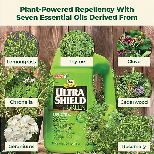 UltraShield Green Natural Insect Repellent (128 Fl Oz (Pack of 1))